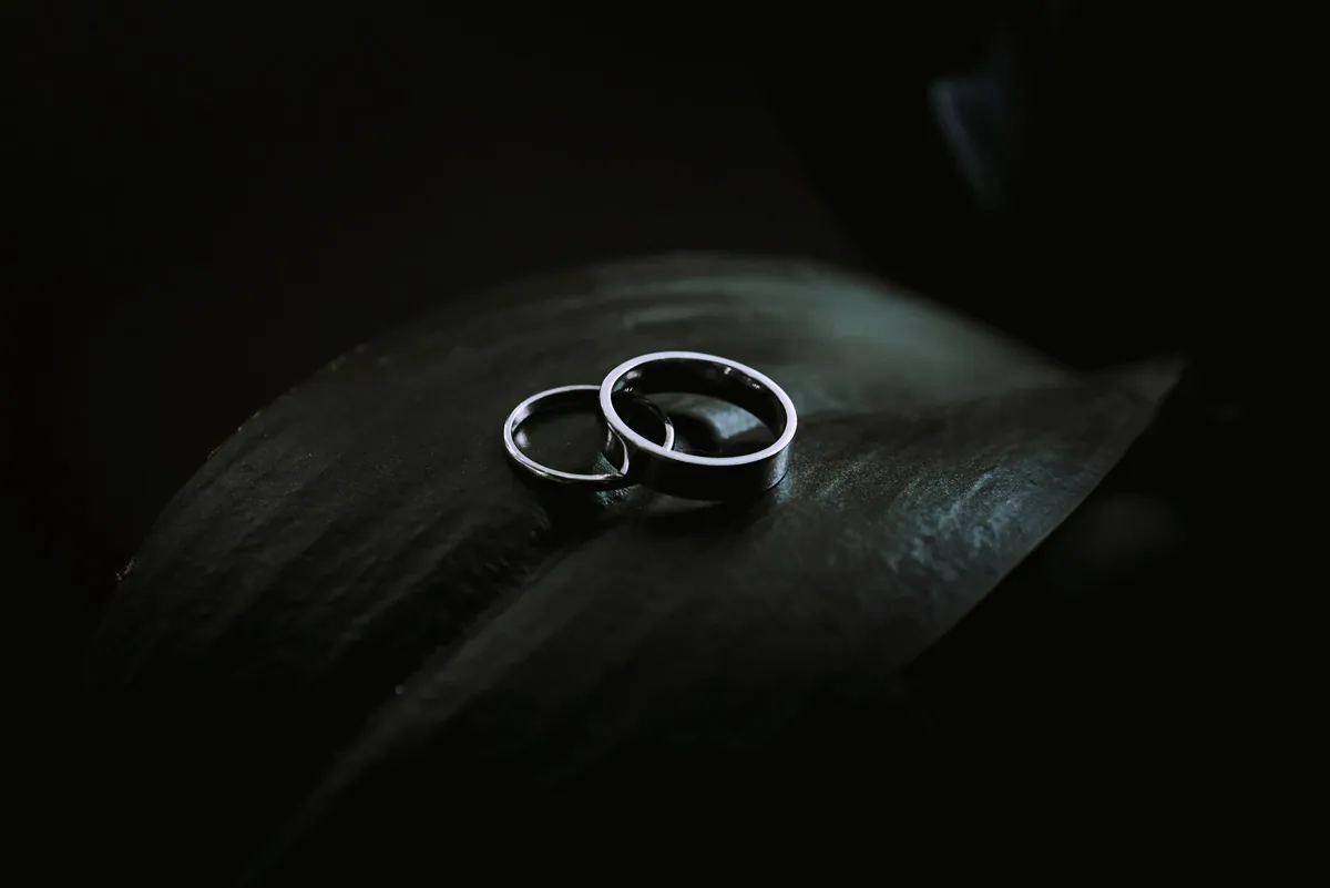 Two slim plain silver bands resting together on a dark leaf